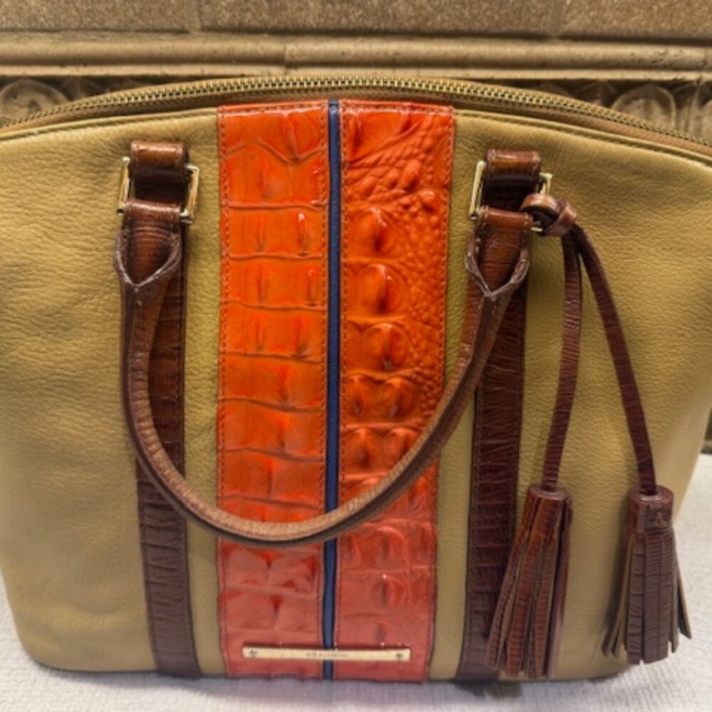 Brahmin Mini Asher Satchel Bag in Pimento Lady Vineyard - Gently Used